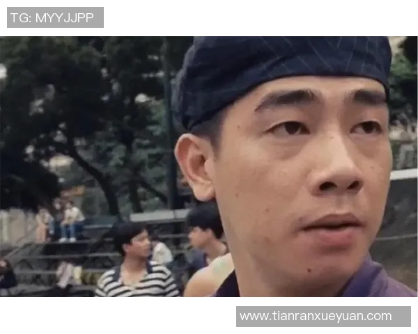 足球山鸡的传奇故事与它在绿茵场上的不屈精神与奋斗历程