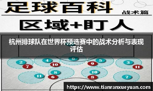 杭州排球队在世界杯预选赛中的战术分析与表现评估